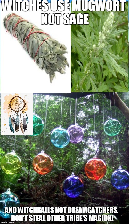 WITCHES USE MUGWORT NOT SAGE; AND WITCHBALLS NOT DREAMCATCHERS. DON'T STEAL OTHER TRIBE'S MAGICK! | image tagged in wicca | made w/ Imgflip meme maker