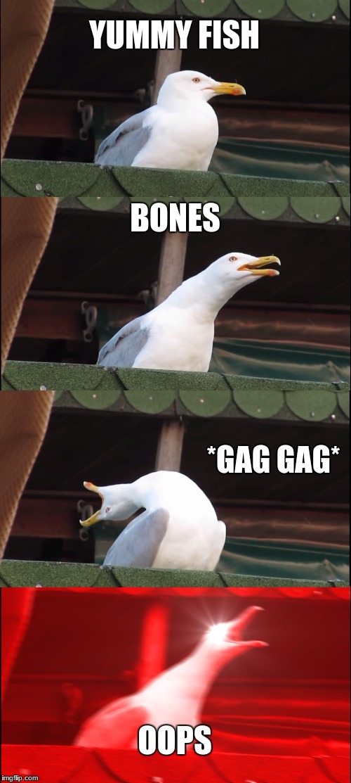 Inhaling Seagull Meme | YUMMY FISH; BONES; *GAG GAG*; OOPS | image tagged in memes,inhaling seagull | made w/ Imgflip meme maker