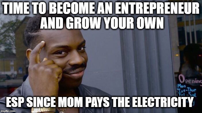 Roll Safe Think About It Meme | TIME TO BECOME AN ENTREPRENEUR AND GROW YOUR OWN ESP SINCE MOM PAYS THE ELECTRICITY | image tagged in memes,roll safe think about it | made w/ Imgflip meme maker