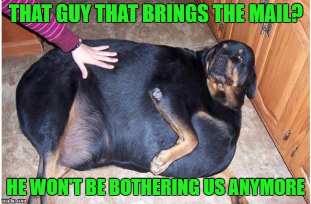 Big Dog | THAT GUY THAT BRINGS THE MAIL? HE WON'T BE BOTHERING US ANYMORE | image tagged in funny memes,dog,fat dog,mailman | made w/ Imgflip meme maker