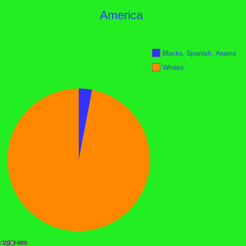 America | Whites, Blacks, Spanish, Asians | image tagged in funny,pie charts | made w/ Imgflip chart maker