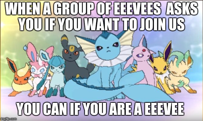 Pokemon sun moon eevee squad | WHEN A GROUP OF EEEVEES  ASKS YOU IF YOU WANT TO JOIN US; YOU CAN IF YOU ARE A EEEVEE | image tagged in pokemon sun moon eevee squad | made w/ Imgflip meme maker