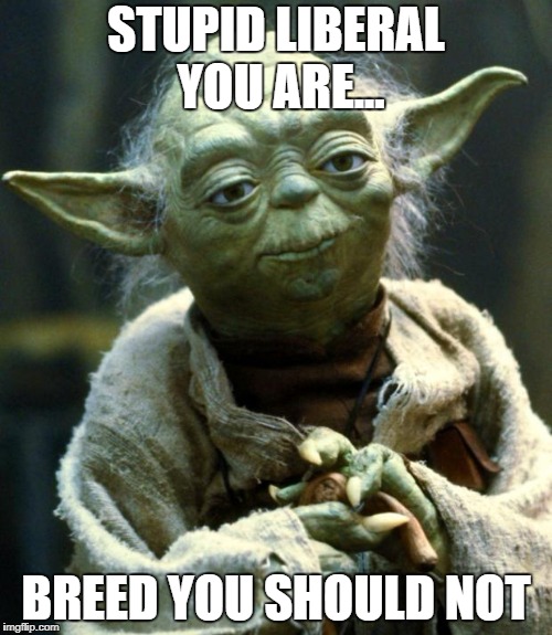 Star Wars Yoda Meme | STUPID LIBERAL YOU ARE... BREED YOU SHOULD NOT | image tagged in memes,star wars yoda,stupid liberals,words that offend liberals,liberalism is a mental disorder,disappointed yoda | made w/ Imgflip meme maker