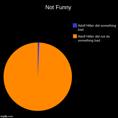 Not Funny | Adolf Hitler did not do something bad, Adolf Hitler did something bad | image tagged in funny,pie charts | made w/ Imgflip chart maker