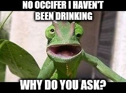 Just one too many... | NO OCCIFER I HAVEN'T BEEN DRINKING; WHY DO YOU ASK? | image tagged in memes,funny,chameleon,drunk,funny memes | made w/ Imgflip meme maker