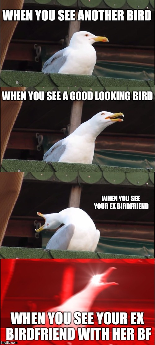 Inhaling Seagull Meme | WHEN YOU SEE ANOTHER BIRD; WHEN YOU SEE A GOOD LOOKING BIRD; WHEN YOU SEE YOUR EX BIRDFRIEND; WHEN YOU SEE YOUR EX BIRDFRIEND WITH HER BF | image tagged in memes,inhaling seagull | made w/ Imgflip meme maker