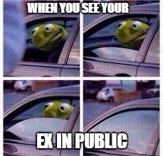 Kermit the frog car | WHEN YOU SEE YOUR; EX IN PUBLIC | image tagged in kermit the frog car | made w/ Imgflip meme maker