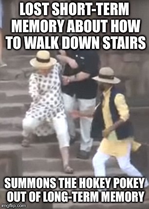 Who caused Hill’s Spill | LOST SHORT-TERM MEMORY ABOUT HOW TO WALK DOWN STAIRS; SUMMONS THE HOKEY POKEY OUT OF LONG-TERM MEMORY | image tagged in who caused hills spill | made w/ Imgflip meme maker
