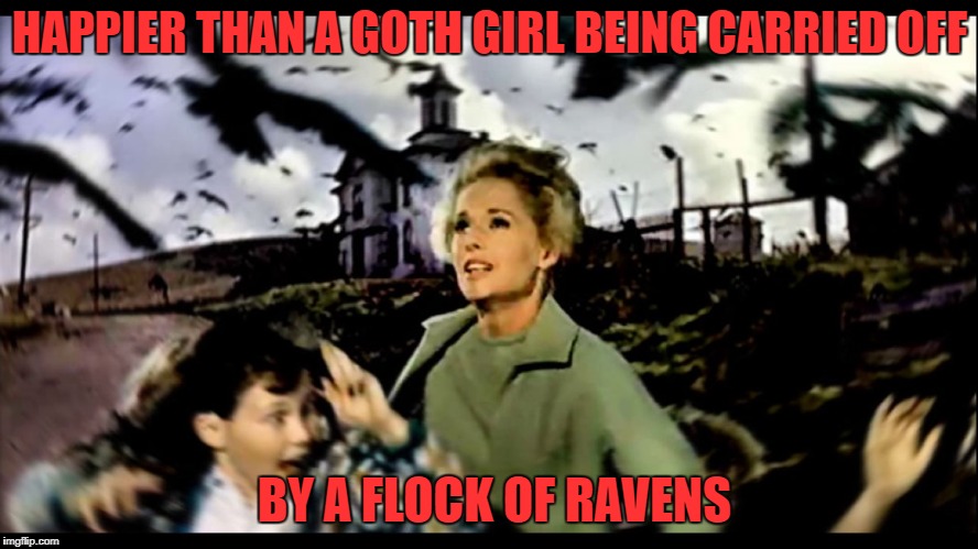 Hot Topic | HAPPIER THAN A GOTH GIRL BEING CARRIED OFF; BY A FLOCK OF RAVENS | image tagged in birds | made w/ Imgflip meme maker