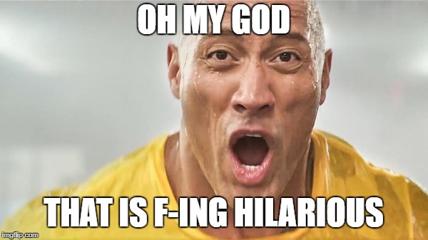 wet rock | OH MY GOD THAT IS F-ING HILARIOUS | image tagged in wet rock | made w/ Imgflip meme maker