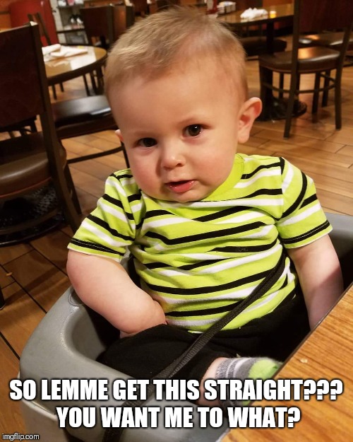 Mateo | SO LEMME GET THIS STRAIGHT??? YOU WANT ME TO WHAT? | image tagged in mateo | made w/ Imgflip meme maker