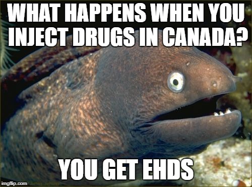 No Deut Abeut That Eh? | WHAT HAPPENS WHEN YOU INJECT DRUGS IN CANADA? YOU GET EHDS | image tagged in memes,bad joke eel,canada | made w/ Imgflip meme maker