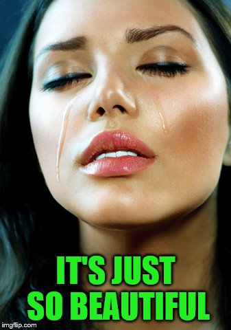 IT'S JUST SO BEAUTIFUL | made w/ Imgflip meme maker