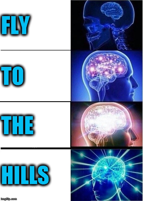 Expanding Brain Meme | FLY TO THE HILLS | image tagged in memes,expanding brain | made w/ Imgflip meme maker
