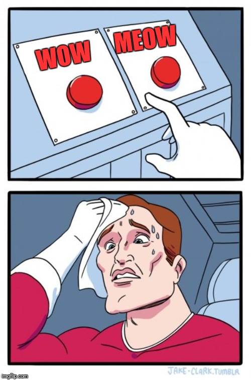 Two Buttons Meme | WOW MEOW | image tagged in memes,two buttons | made w/ Imgflip meme maker
