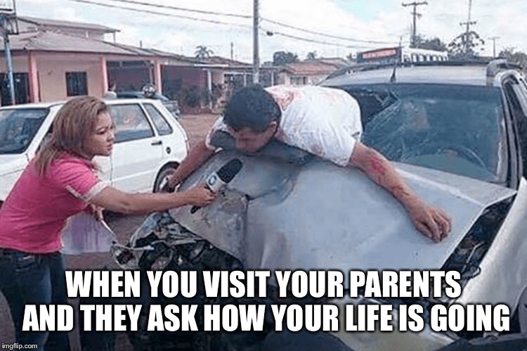 Adulting just doesn't work | WHEN YOU VISIT YOUR PARENTS AND THEY ASK HOW YOUR LIFE IS GOING | image tagged in adulting | made w/ Imgflip meme maker