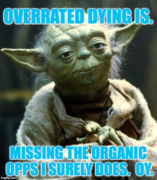 Star Wars Yoda Meme | OVERRATED DYING IS. MISSING THE ORGANIC OPPS I SURELY DOES.  OY. | image tagged in memes,star wars yoda | made w/ Imgflip meme maker