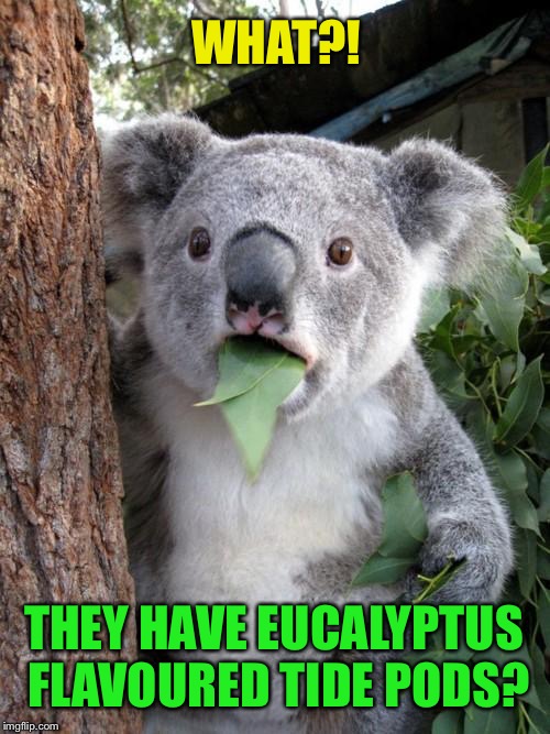 *Available only in Australia. | WHAT?! THEY HAVE EUCALYPTUS FLAVOURED TIDE PODS? | image tagged in memes,surprised koala,tide pods,funny | made w/ Imgflip meme maker