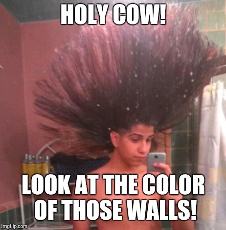 Terrible job. Who's responsible for this? | HOLY COW! LOOK AT THE COLOR OF THOSE WALLS! | image tagged in memes,funny,hair | made w/ Imgflip meme maker