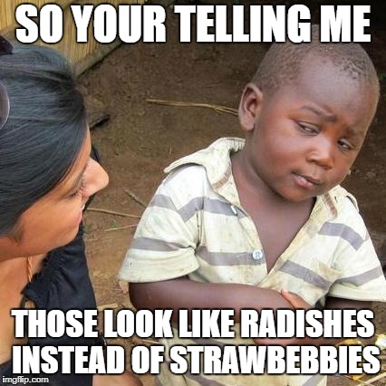 SO YOUR TELLING ME THOSE LOOK LIKE RADISHES INSTEAD OF STRAWBEBBIES | image tagged in memes,third world skeptical kid | made w/ Imgflip meme maker