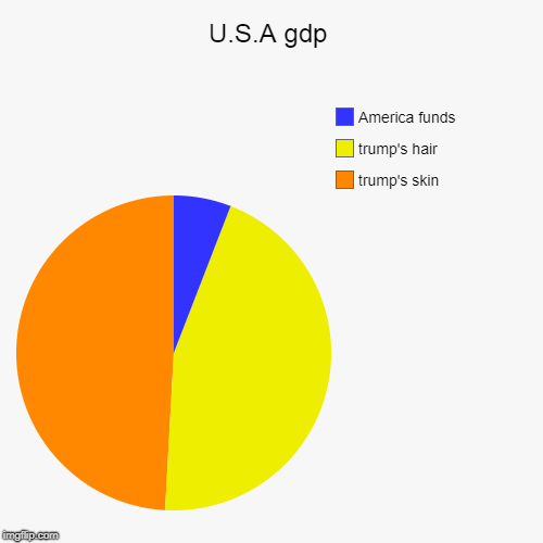U.S.A gdp | trump's skin, trump's hair, America funds | image tagged in funny,pie charts | made w/ Imgflip chart maker