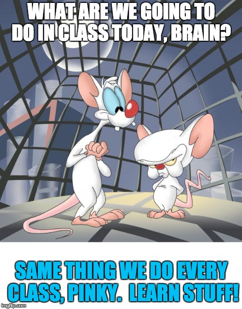 Pinky and the brain | WHAT ARE WE GOING TO DO IN CLASS TODAY, BRAIN? SAME THING WE DO EVERY CLASS, PINKY.  LEARN STUFF! | image tagged in pinky and the brain | made w/ Imgflip meme maker