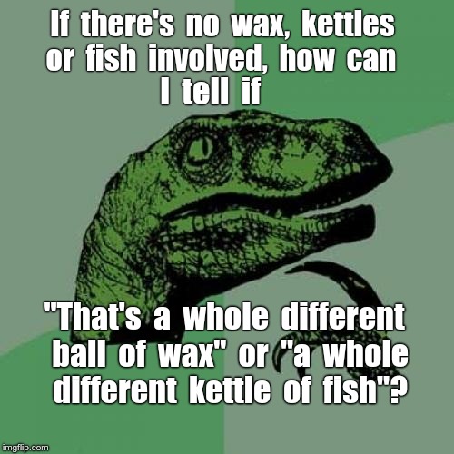 Major Philosophical Conundrum | If  there's  no  wax,  kettles; or  fish  involved,  how  can; I  tell  if; "That's  a  whole  different  ball  of  wax"  or  "a  whole  different  kettle  of  fish"? | image tagged in memes,philosoraptor | made w/ Imgflip meme maker
