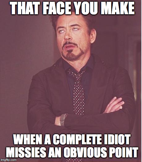 Face You Make Robert Downey Jr Meme | THAT FACE YOU MAKE WHEN A COMPLETE IDIOT MISSIES AN OBVIOUS POINT | image tagged in memes,face you make robert downey jr | made w/ Imgflip meme maker