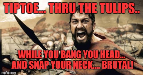 Sparta Leonidas Meme | TIPTOE... THRU THE TULIPS.. WHILE YOU BANG YOU HEAD... AND SNAP YOUR NECK.... BRUTAL! | image tagged in memes,sparta leonidas | made w/ Imgflip meme maker