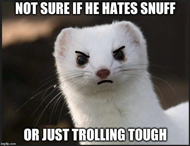 Snuffy | NOT SURE IF HE HATES SNUFF; OR JUST TROLLING TOUGH | image tagged in sarcasm,not sure if,epic,what,level | made w/ Imgflip meme maker