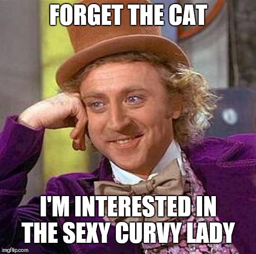 Creepy Condescending Wonka Meme | FORGET THE CAT I'M INTERESTED IN THE SEXY CURVY LADY | image tagged in memes,creepy condescending wonka | made w/ Imgflip meme maker