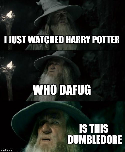 Confused Gandalf | I JUST WATCHED HARRY POTTER; WHO DAFUG; IS THIS DUMBLEDORE | image tagged in memes,confused gandalf | made w/ Imgflip meme maker