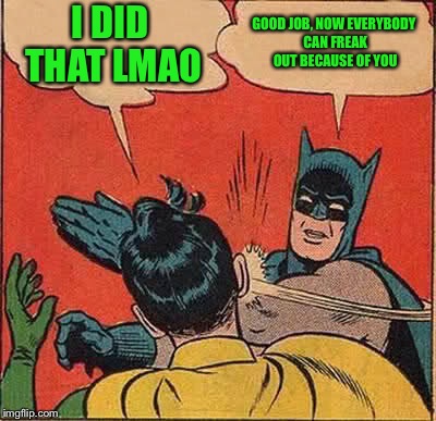 Batman Slapping Robin Meme | I DID THAT LMAO GOOD JOB, NOW EVERYBODY CAN FREAK OUT BECAUSE OF YOU | image tagged in memes,batman slapping robin | made w/ Imgflip meme maker