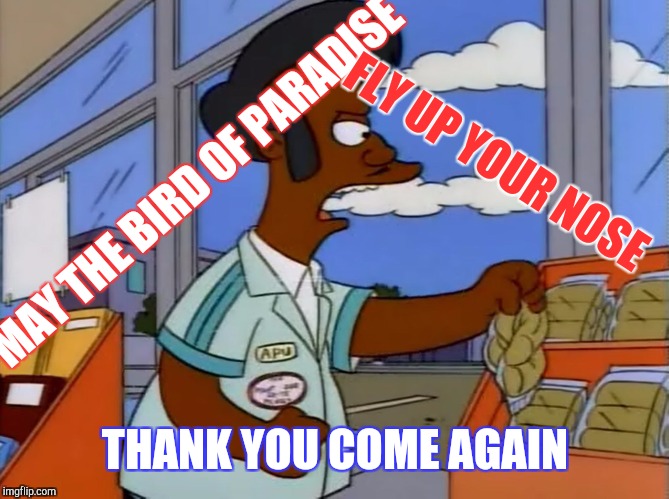 Simpson's week  Apu's Revenge | FLY UP YOUR NOSE; MAY THE BIRD OF PARADISE; THANK YOU COME AGAIN | image tagged in apu,simpsons,meme,anger,welcome,thank you | made w/ Imgflip meme maker