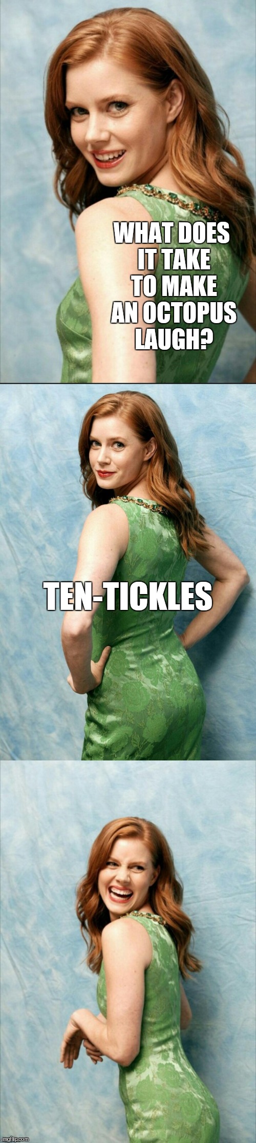 Amy Adams joke template  | WHAT DOES IT TAKE TO MAKE AN OCTOPUS LAUGH? TEN-TICKLES | image tagged in amy adams joke template,jbmemegeek,octopus,bad puns,amy adams | made w/ Imgflip meme maker