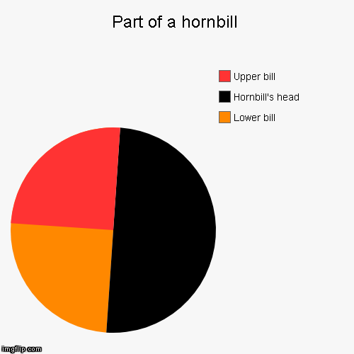 Part of a hornbill | Lower bill, Hornbill's head, Upper bill | image tagged in funny,pie charts | made w/ Imgflip chart maker