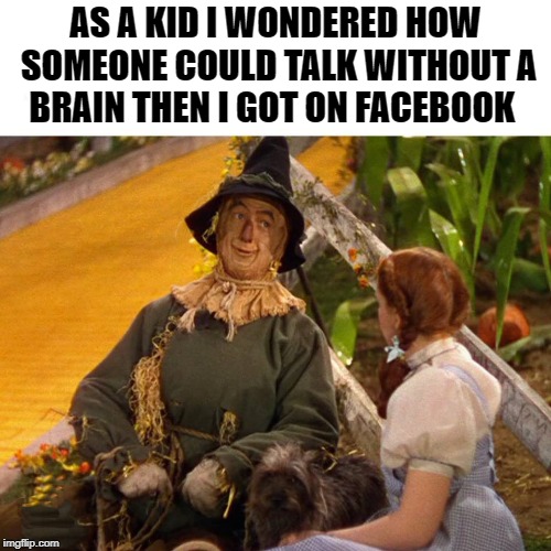 as a kid i wondered how someone could talk without a brain |  AS A KID I WONDERED HOW SOMEONE COULD TALK WITHOUT A BRAIN THEN I GOT ON FACEBOOK | image tagged in wizard of oz | made w/ Imgflip meme maker