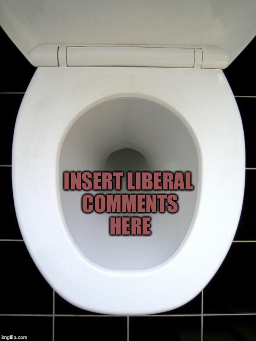 TOILET | INSERT LIBERAL COMMENTS HERE | image tagged in toilet | made w/ Imgflip meme maker