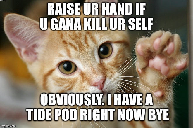 Raise ur hand | RAISE UR HAND IF U GANA KILL UR SELF; OBVIOUSLY. I HAVE A TIDE POD RIGHT NOW BYE | image tagged in memes | made w/ Imgflip meme maker