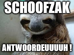 Creepy sloth | SCHOOFZAK; ANTWOORDEUUUUH ! | image tagged in creepy sloth | made w/ Imgflip meme maker