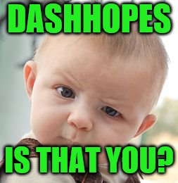 Skeptical Baby Meme | DASHHOPES IS THAT YOU? | image tagged in memes,skeptical baby | made w/ Imgflip meme maker