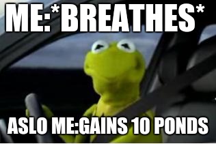 Kermit the frog | ME:*BREATHES*; ASLO ME:GAINS 10 PONDS | image tagged in kermit the frog | made w/ Imgflip meme maker
