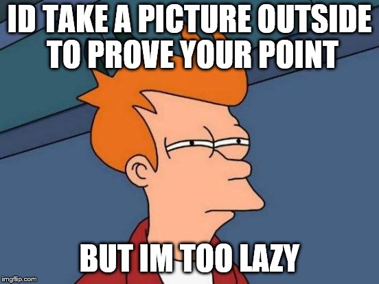 Futurama Fry Meme | ID TAKE A PICTURE OUTSIDE TO PROVE YOUR POINT BUT IM TOO LAZY | image tagged in memes,futurama fry | made w/ Imgflip meme maker