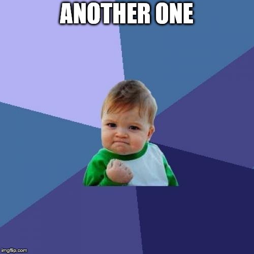 Success Kid Meme | ANOTHER ONE | image tagged in memes,success kid | made w/ Imgflip meme maker