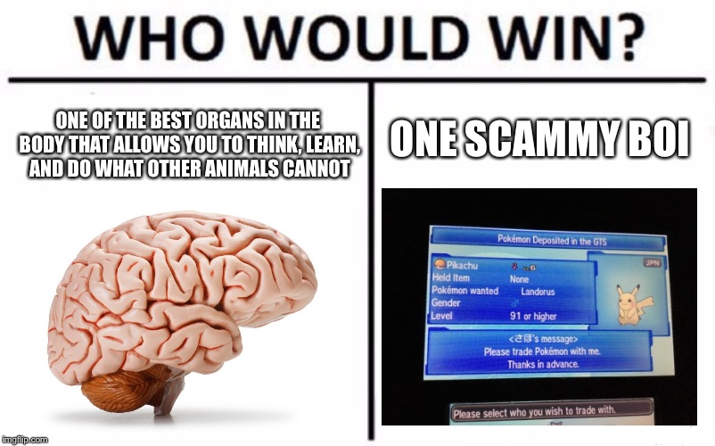 Here in the GTS, this is normal. | ONE SCAMMY BOI; ONE OF THE BEST ORGANS IN THE BODY THAT ALLOWS YOU TO THINK, LEARN, AND DO WHAT OTHER ANIMALS CANNOT | image tagged in memes,who would win,scam,brain,obvious,pokemon | made w/ Imgflip meme maker