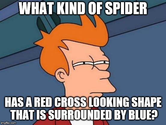 Futurama Fry Meme | WHAT KIND OF SPIDER HAS A RED CROSS LOOKING SHAPE THAT IS SURROUNDED BY BLUE? | image tagged in memes,futurama fry | made w/ Imgflip meme maker