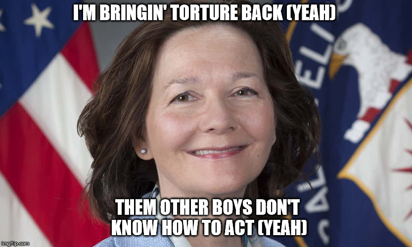 CIA | I'M BRINGIN' TORTURE BACK (YEAH); THEM OTHER BOYS DON'T KNOW HOW TO ACT (YEAH) | image tagged in torture,haspel,cia | made w/ Imgflip meme maker