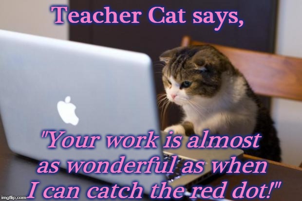 Cat using computer | Teacher Cat says, "Your work is almost as wonderful as when I can catch the red dot!" | image tagged in cat using computer | made w/ Imgflip meme maker