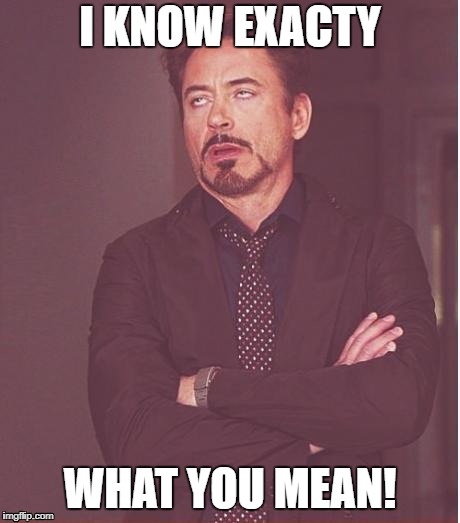 Face You Make Robert Downey Jr Meme | I KNOW EXACTY WHAT YOU MEAN! | image tagged in memes,face you make robert downey jr | made w/ Imgflip meme maker