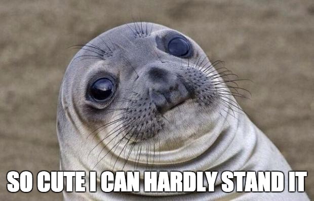 Awkward Moment Sealion Meme | SO CUTE I CAN HARDLY STAND IT | image tagged in memes,awkward moment sealion | made w/ Imgflip meme maker
